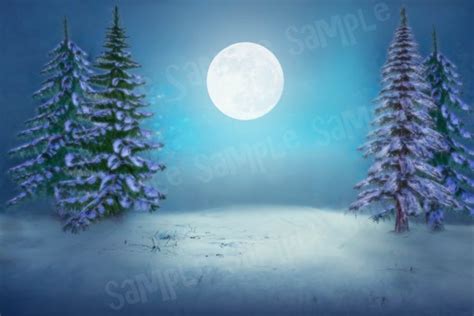 Winter Backdrop Snow Backdrop Digital Download Photoshop - Etsy