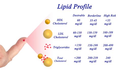 Hdl Vs Ldl Chart