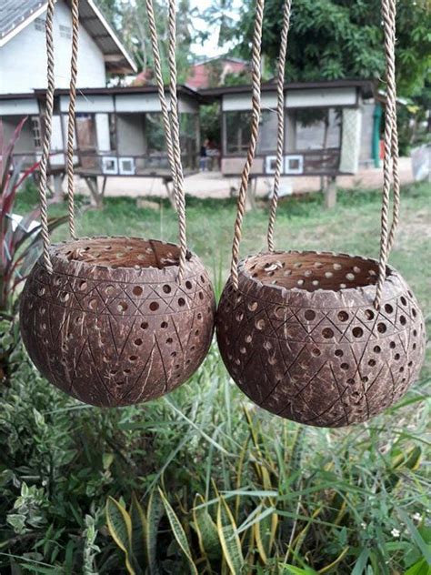 Set 2 Pcs Medium Size Handicraft Coconut Shell Hanging Pot Planter