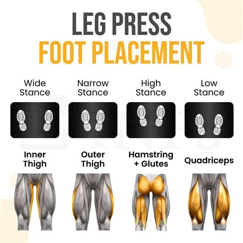 Leg Press Foot Placements Stances Explained Leg Press Workout Gym