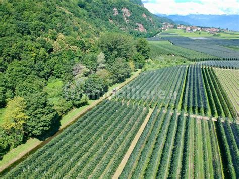 Terreno Agricolo Sp Appiano Sulla Strada Del Vino Rif