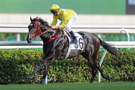 香港賽馬會20212022年度馬季投注額逾1400億港元 亞博匯