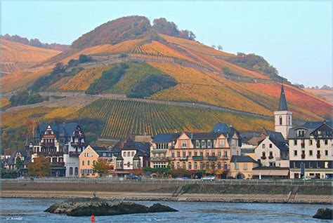 Höllenberg Von Assmannshausen Foto And Bild Landschaft