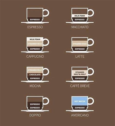 Different Types Of Coffee Cups And Their Names