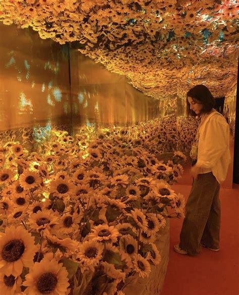 Woman In Front Of Sunflowers At Van Gogh Museum