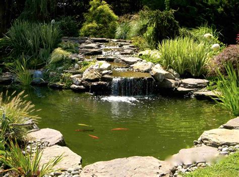 25 Pond Waterfall Designs And Ideas