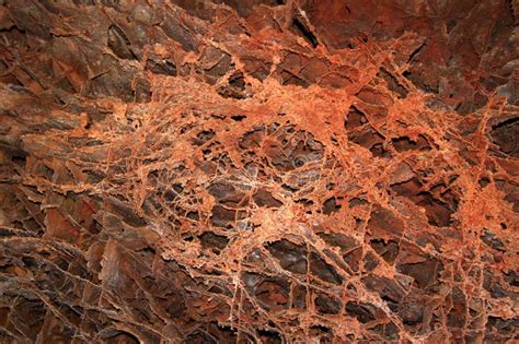 Boxwork in Wind Cave stock image. Image of wonder, speleology - 22254859