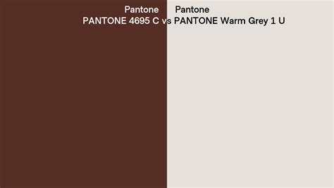 Pantone 4695 C Vs PANTONE Warm Grey 1 U Side By Side Comparison