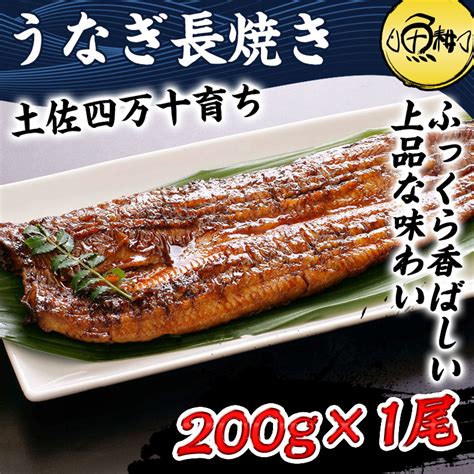 【楽天市場】高知県四万十産うなぎ超特大サイズ蒲焼長焼き1尾約200gさらにきもすい1パック付き！とろけるような旨みと上品なあじわい【ギフト