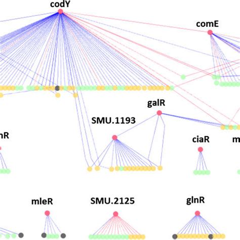 Topological View Of The Transcriptional Regulatory Response Network