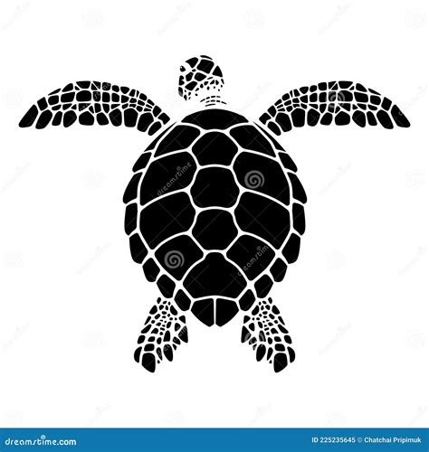 Vector Gráfico De Tortugas Marinas De Natación Ilustración del Vector