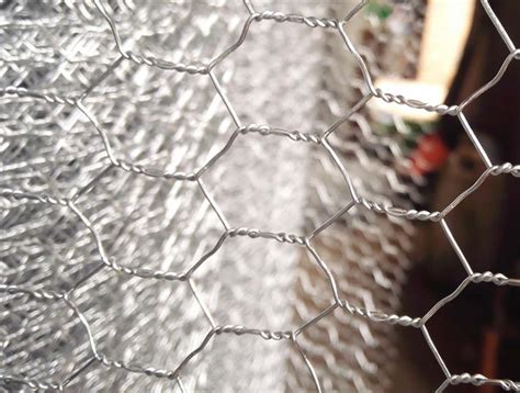 Stainless Steel Hexagonal Chicken Wire Mesh Twist Chicken Coop Wire 304