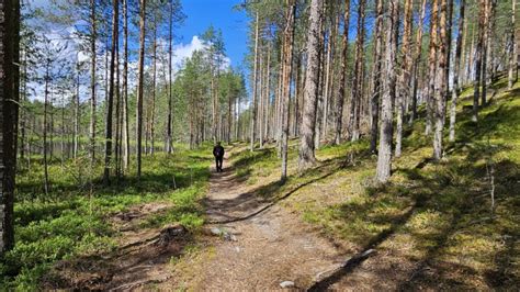 Mainiot harjut ja kankaat Luontopolku Puuska Kylmäluoman