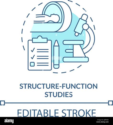 Structure Function Studies Turquoise Concept Icon Stock Vector Image