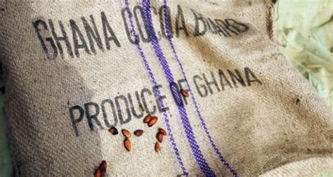 Cacao Les Planteurs Au Ghana Gagnent 500 Dollars Tonne De Plus Que