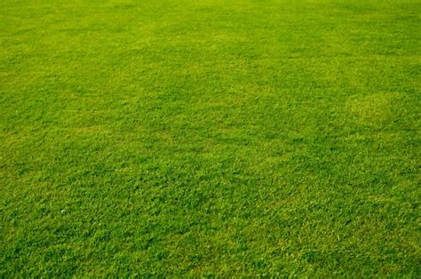 Man standing field Stock Photos, Royalty Free Man standing field Images ...