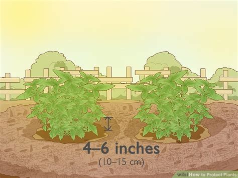 4 Simple Ways To Protect Plants Wikihow