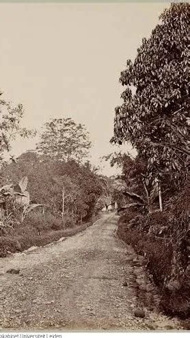 Potret Jalan Raya Puncak Bogor Zaman Dulu Masih Tanah Hutan Hanya