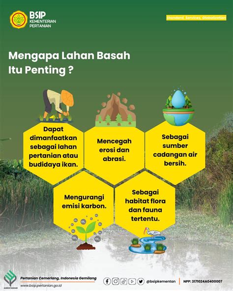 Icare Bsip Kementerian Pertanian Ri Selamat Hari Lahan Basah Sedunia