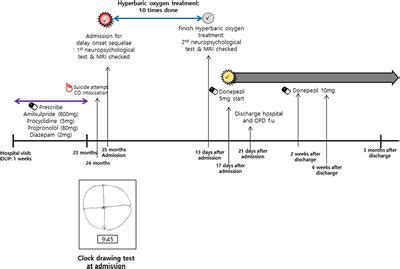 Frontiers Case Report Recovery Of Hallucinations And Cognitive