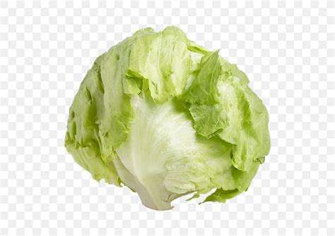 Romaine Lettuce Iceberg Lettuce Endive Leaf Vegetable Png X Px