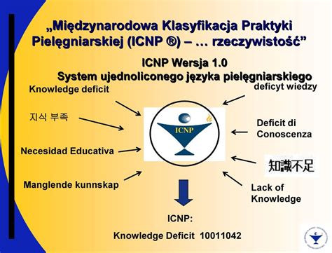 Mi Dzynarodowa Klasyfikacja Praktyki Piel Gniarskiej Icnp Koncepcja