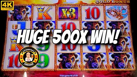 Huge X Win On Buffalo Gold Slot Machine Youtube