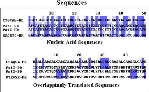 Figure 1 From Recognition Sequences In The Restriction Endonucleases Semantic Scholar