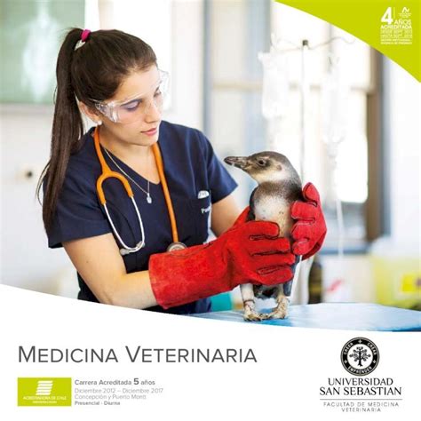 Pdf Medicina Veterinaria San Sebasti N University La Facultad De