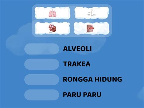 SOAL IPA KELAS VIII MATERI SISTEM PERNAFASAN Une Las Parejas