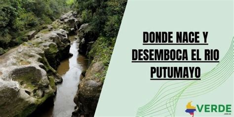 Donde Nace Y Desemboca El Rio Putumayo Colombia Verde