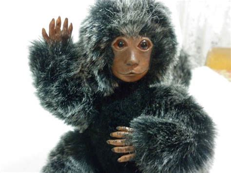 Pygmy Marmoset Sold One Of A Kind Handmade Poseable Pygmy