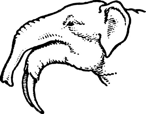 Mastodonte De Mandíbula Longa Ilustração Vintage Linha De Arte Do Mioceno Vetor Png Mioceno