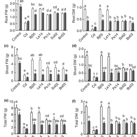 Influence Of Root Endophytic PGPB On The A Root Length And B Shoot