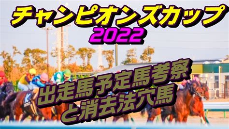 チャンピオンズカップ2022出走馬予定馬データ分析と消去法予想 アドバンテージホース競馬予想