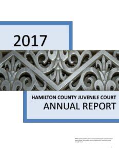 2017 Hamilton County Juvenile Court Annual Report - Hamilton County Juvenile CourtHamilton ...