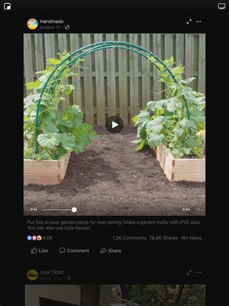 An Image Of A Garden With Plants Growing In It