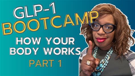 Glp 1 Bootcamp How Your Body Works Part 1 Mounjaro Zepbound Ozempic