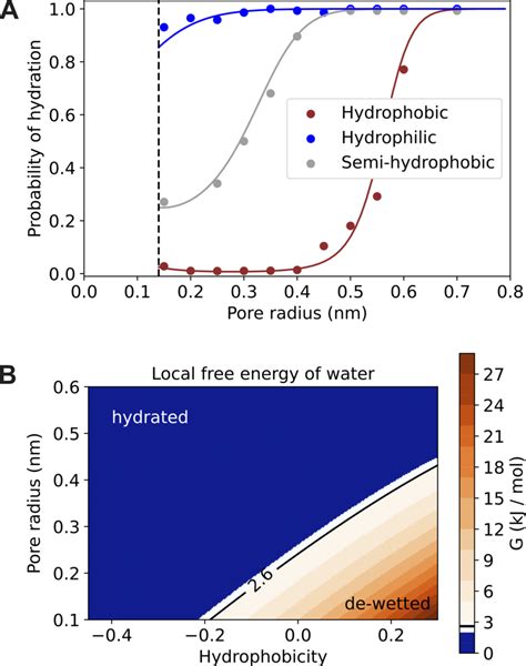 The Role Of Pore Radius And Hydrophobicity A Pore Hydration