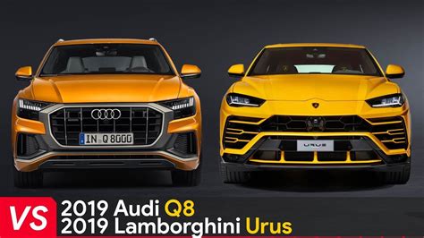 2019 Audi Q8 Vs 2019 Lamborghini Urus Youtube