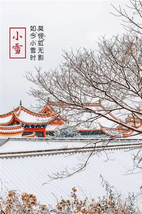 「詩詞鑑賞」小雪時節，品讀最美的小雪古詩詞 每日頭條