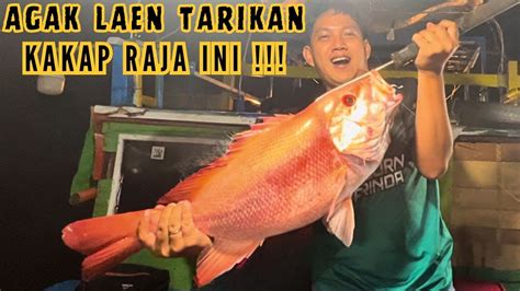 Agak Laen Tarikan Ikan Ini Joran Melengkung Tajam Spot Terbaik