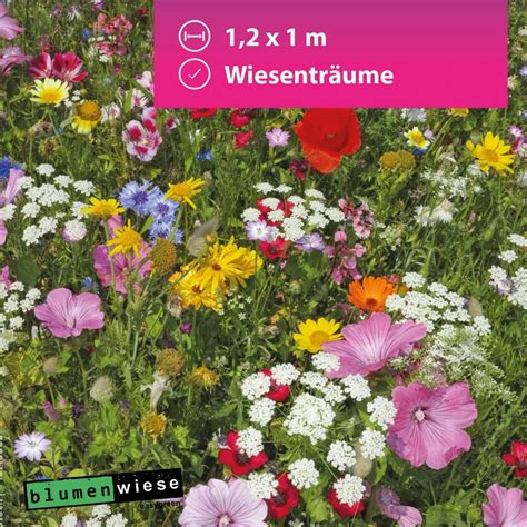 Blumenwiese Wiesenträume GG Blumenwiese Wiesenträume günstig kaufen