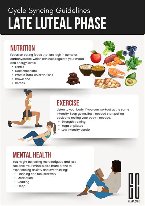 Cycle Syncing How To Work With Your Hormones In Each Phase Of Your Cycle