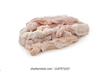 pig intestines  images pictures shutterstock