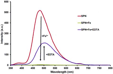 Fluorescence Emission Spectra Of Spn Spn Fe And Spn Fe Edta