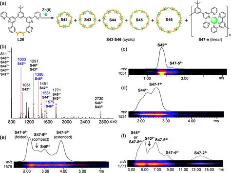 Multidimensional Mass Spectrometry Assisted Metallo Supramolecular Chemistry Ccs Chemistry