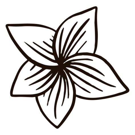 Flower Hand Drawn Simple PNG SVG Design For T Shirts