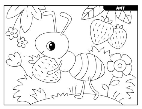 Dibujos de insectos para colorear para niños Vector Premium