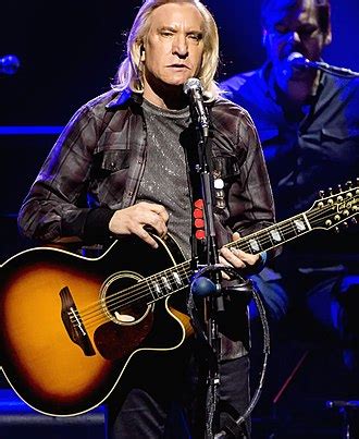 Joe Walsh Wikipedia